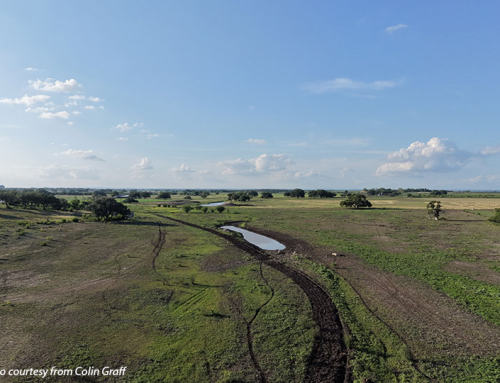Recent rainfall brings short-term relief as drought persists across Texas