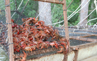USDA opens seafood office USDA opened a new Office of Seafood to advocate for the “farmers of the sea,” U.S. Secretary of Agriculture Brooke Rollins announced.