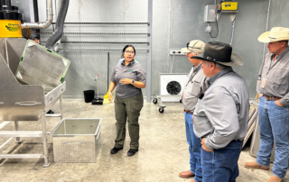 Ranchers tour USDA screwworm, cattle fever tick facilities Texas Farm Bureau members recently toured USDA facilities in the Rio Grande Valley to see firsthand how officials are working to combat New World screwworm and cattle fever ticks.