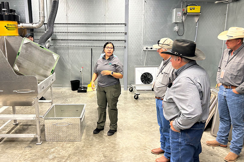Ranchers tour USDA screwworm, cattle fever tick facilities Texas Farm Bureau members recently toured USDA facilities in the Rio Grande Valley to see firsthand how officials are working to combat New World screwworm and cattle fever ticks.
