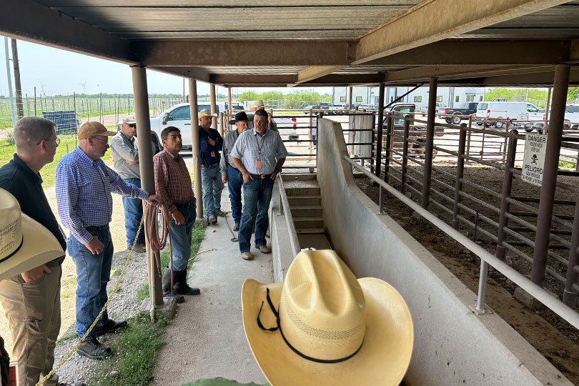 Ranchers tour USDA screwworm, cattle fever tick facilities Texas Farm Bureau members recently toured USDA facilities in the Rio Grande Valley to see firsthand how officials are working to combat New World screwworm and cattle fever ticks.