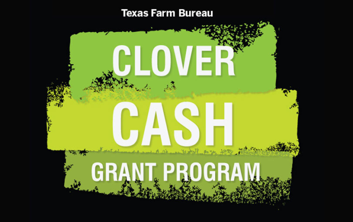 Applications open for TFB’s 2026 Clover Cash Grant Program Applications are open for Texas Farm Bureau’s (TFB) 2026 Clover Cash Grant Program, which supports Texas 4-H activities at the county, district and state levels.