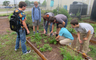 Texas educators can apply for TFB garden grants Texas Farm Bureau (TFB) garden grant applications are now open to help educators bring agriculture into the classroom.