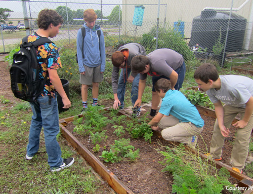Texas educators can apply for TFB garden grants