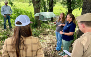 Federal and state animal health officials are intensifying efforts to contain and eradicate New World screwworm as additional cases are confirmed in South Texas and response operations expand across the region.