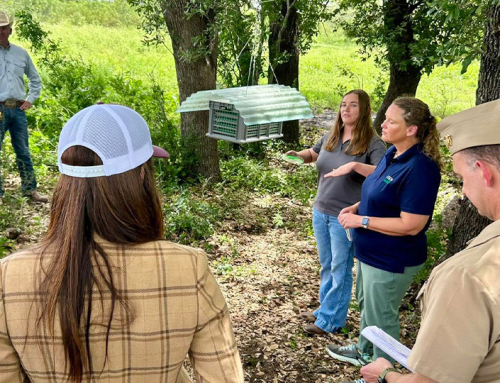 Rollins visits South Texas to review New World screwworm response