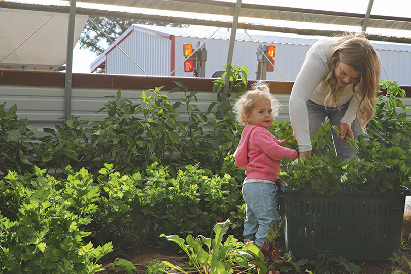 AFBF released the results of a new national study intended to guide programming dedicated to women in agriculture for the next five years.