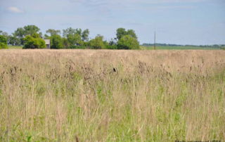 USDA accepts over 106,000 acres in Texas into CRP USDA accepted more than 106,000 acres in Texas into the Conservation Reserve Program for 2026.