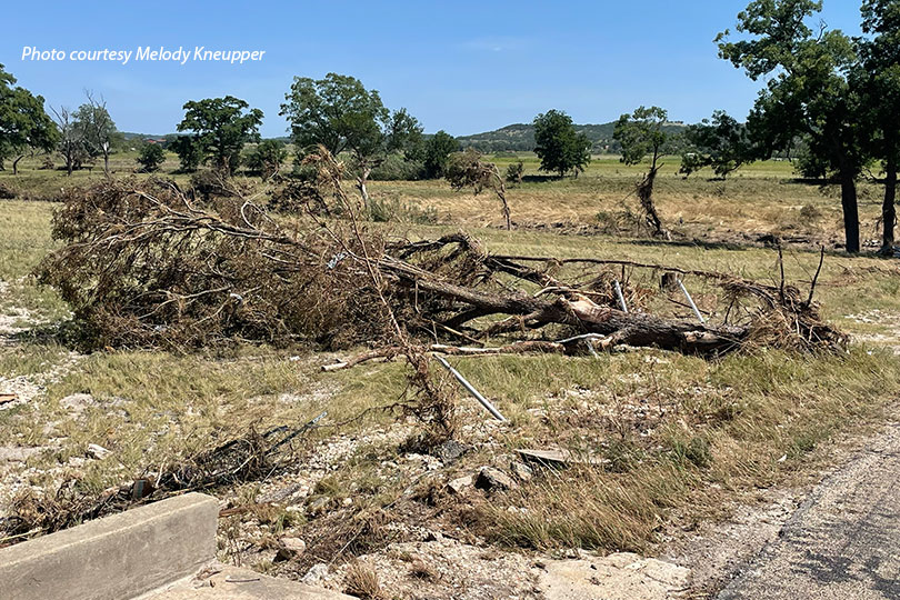 Floods-MK2 Ranchers begin recovery after another round of devastating floods Just over a year after historic flooding devastated parts of the Texas Hill Country, ranchers are once again cleaning up after another destructive flood.