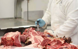 USDA launches program to support small, mid-size beef processors A program launched by USDA this week aims to strengthen processing for U.S. ranchers by providing temporary support to eligible beef processing plants.