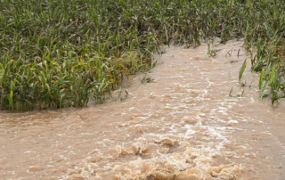 Catastrophic flooding hits parts of Texas Days of torrential rain have triggered catastrophic flooding across the Texas Hill Country and South Texas.