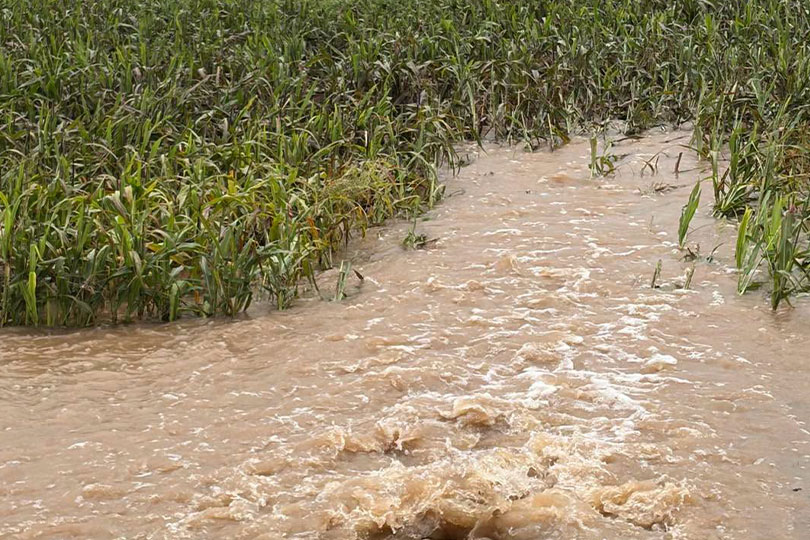 Catastrophic flooding hits parts of Texas Days of torrential rain have triggered catastrophic flooding across the Texas Hill Country and South Texas.