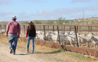 Agriculture alert system available for Texans Texas farmers, ranchers and residents can now receive notifications about agricultural threats, wildlife diseases, invasive pests and quarantine actions through a new alert system.