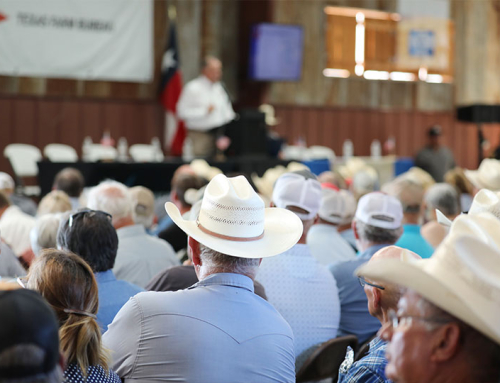 New World screwworm response expands across Lone Star State