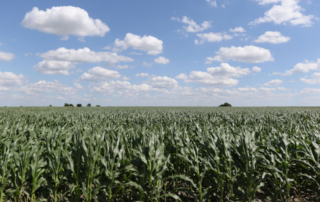 Farmer losses projected to increase Several years of high inflation and low commodity prices, coupled with volatile production costs, are continuing to squeeze farmers financially.