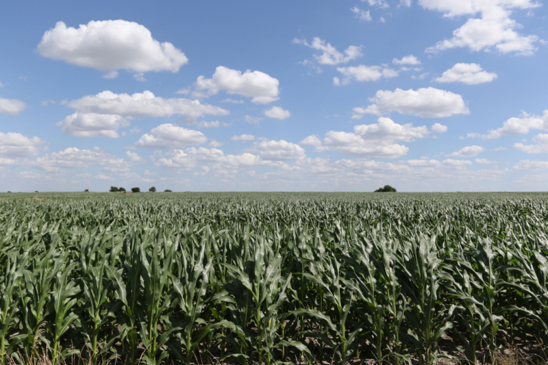 Farmer losses projected to increase Several years of high inflation and low commodity prices, coupled with volatile production costs, are continuing to squeeze farmers financially.