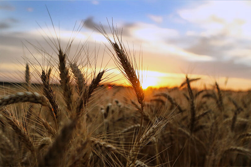 USDA announces crop insurance flexibility, restores prevented planting coverage The U.S. Department of Agriculture (USDA) announced changes that would give farmers additional flexibility to pay crop insurance premiums this year, and the option to purchase additional prevented planting coverage.