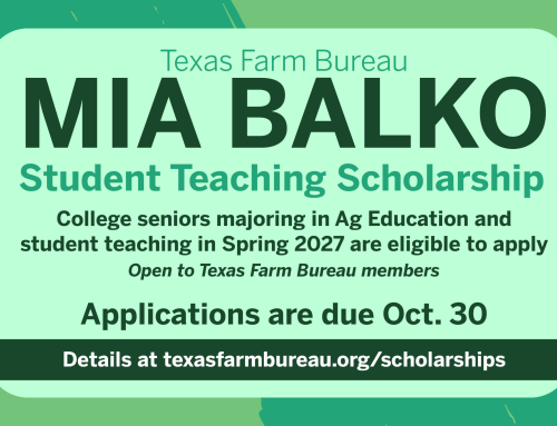 Spring 2027 student teaching scholarships open