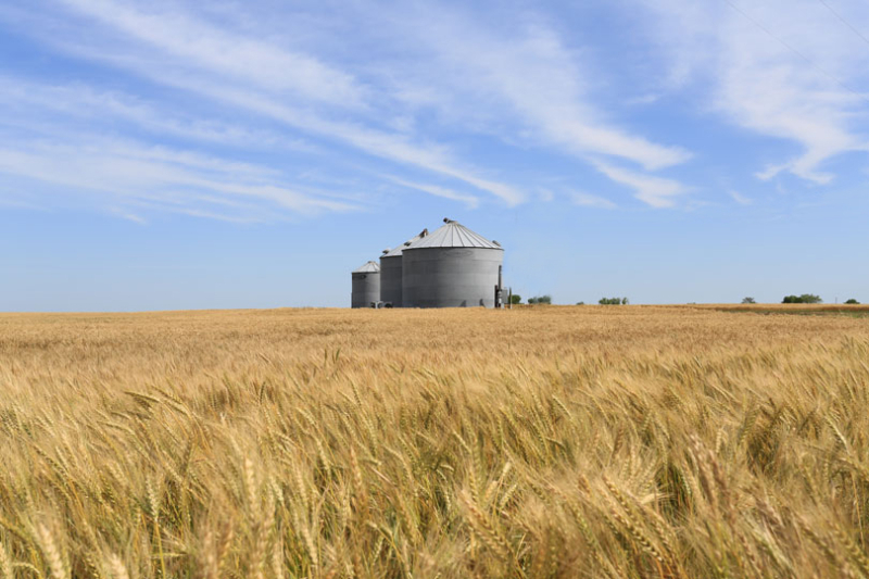 Boozman plans new farm bill vote in September Although the U.S. Senate Ag Committee failed to pass the farm bill, committee members will have another chance to move the food and farm legislation forward when the Senate returns from its five-week recess in September.