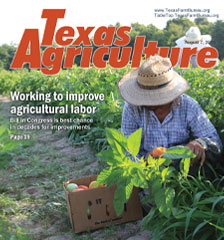 Texas Agriculture Publication | August 7, 2026