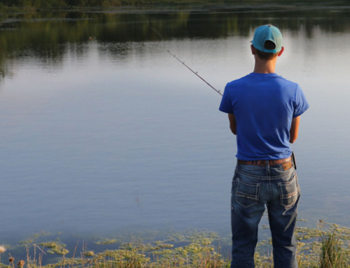 Hunting, fishing licenses for 2026-27 now available