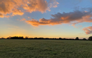 TFB raises concerns about proposed transmission lines Texas lawmakers heard concerns about the potential impacts of proposed 765-kilovolt (kV) transmission projects on farms, ranches and private property.