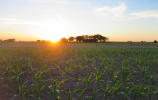 TFB urges protection of landowner rights in pole attachment debate TFB urged state lawmakers to protect private property rights as they consider policies related to broadband deployment and pole attachments in rural Texas.
