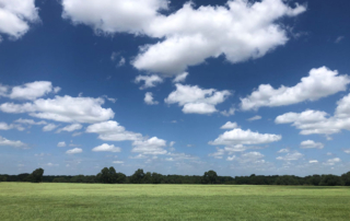 Farmland values reach record highs as growth slows U.S. agricultural land values reached another record high in 2026, and cash rents remained near historically high levels.
