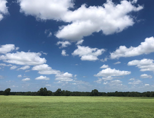Farmland values climb higher in 2026