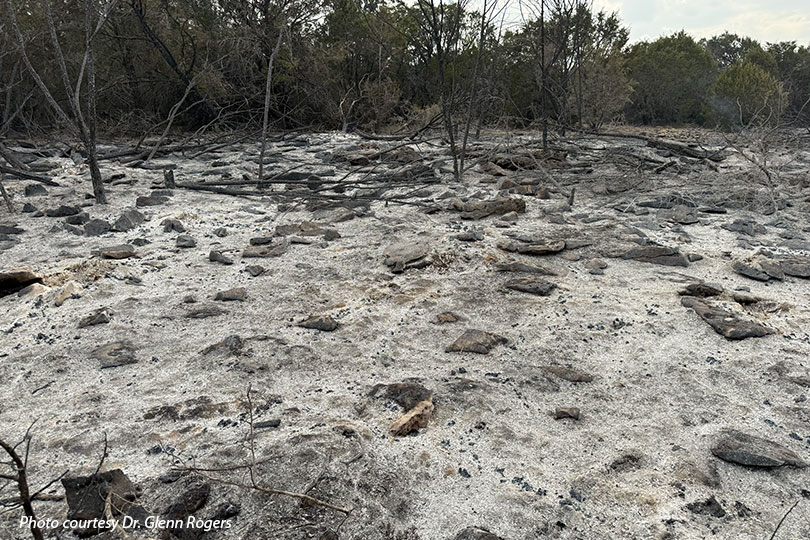 Ross Fire burns more than 90,000 acres so far in North Texas The Ross Fire continues to threaten farms, ranches and communities in Palo Pinto and Jack counties as firefighters work to contain the massive wildfire.