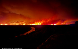 Ross Fire burns more than 90,000 acres so far in North Texas The Ross Fire continues to threaten farms, ranches and communities in Palo Pinto and Jack counties as firefighters work to contain the massive wildfire.