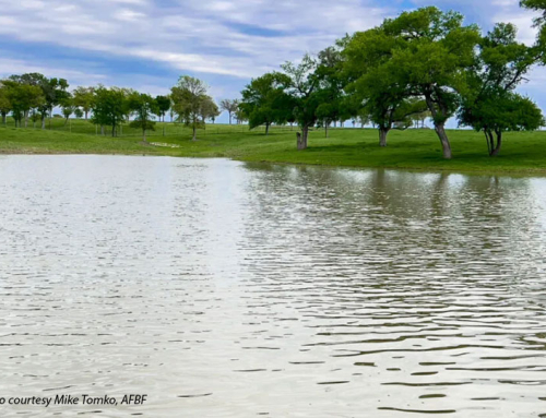 EPA’s proposed Waters of the U.S. rule moves forward