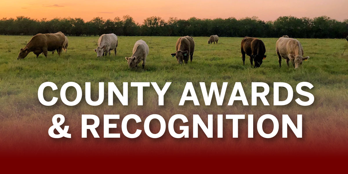 WebArt_CountyAwards