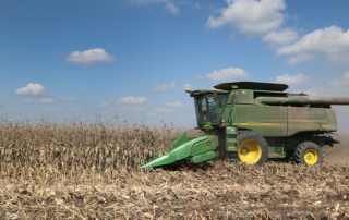 Central Texas corn harvest wraps up with solid yields Timely rainfall helped Central Texas corn farmers produce a generally good crop this year despite freeze damage early in the growing season.