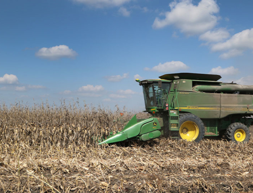 Central Texas corn harvest wraps up with solid yields