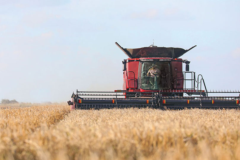 rice-harvest-1 Water costs drive changes for young Texas rice farmer Water availability and rising costs in Texas pushed Dillon Berglund to look beyond the state for more farmland, and that's how he found an opportunity in Louisiana.