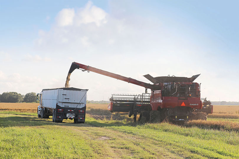 rice-harvest-2 Water costs drive changes for young Texas rice farmer Water availability and rising costs in Texas pushed Dillon Berglund to look beyond the state for more farmland, and that's how he found an opportunity in Louisiana.