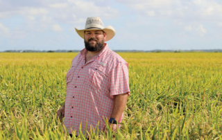 Water costs drive changes for young Texas rice farmer Water availability and rising costs in Texas pushed Dillon Berglund to look beyond the state for more farmland, and that's how he found an opportunity in Louisiana.