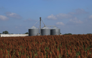 Strait disruptions to impact prices for months even after reopening Global tensions continue to weigh on farm input prices, including the cost of fertilizer and diesel.