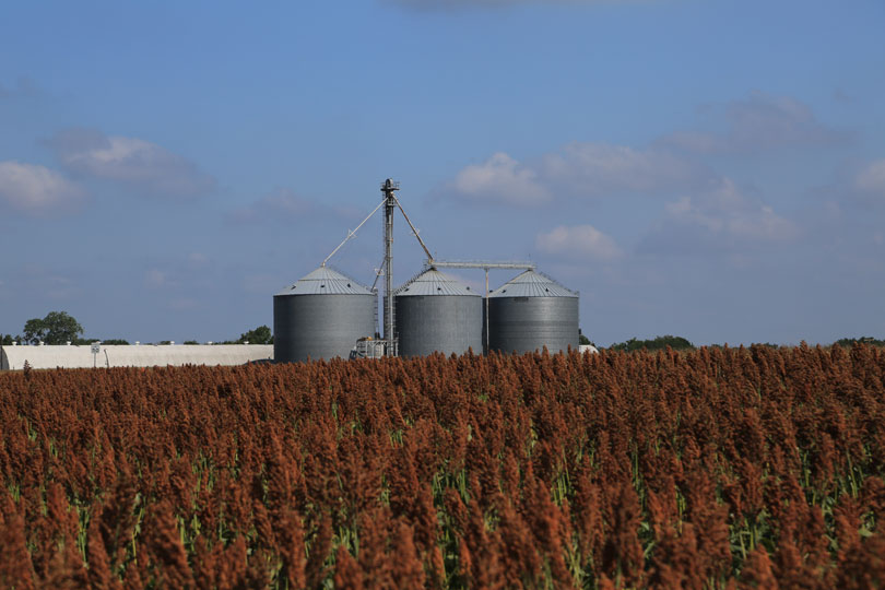 Strait disruptions to impact prices for months even after reopening Global tensions continue to weigh on farm input prices, including the cost of fertilizer and diesel.