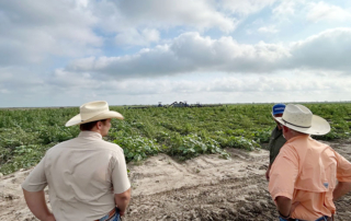 Regional meetings connect young farmers, ranchers across Texas Young farmers, ranchers and ag professionals learned about different production practices and connected with industry experts during regional meetings hosted by the TFB YF&R Advisory Committee.