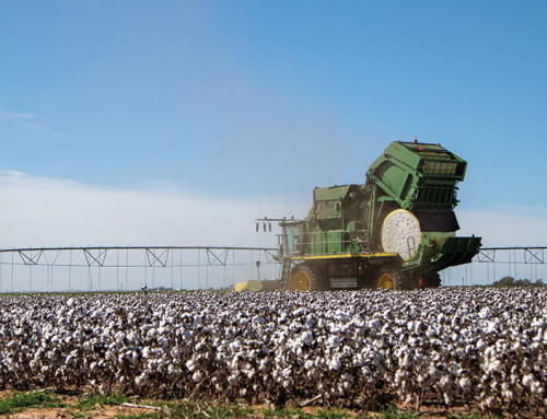 Farmers call for federal diesel price relief
