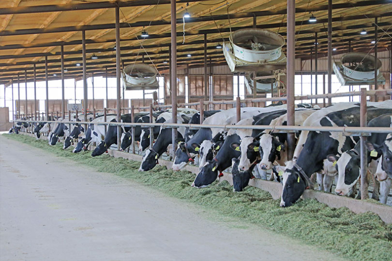 USDA announces 2027 Dairy Margin Coverage enrollment Enrollment for the Dairy Margin Coverage program runs through Dec. 18.