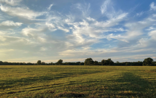 Cash rents in Texas for pastureland and irrigated cropland showed slight increases from last year, and dryland cropland dropped slightly